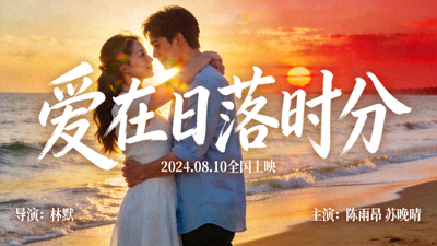 浪漫爱情电影海报，情侣在海边 sunset 下拥抱